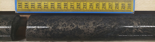 Plate 1: Net texture pyrrhotite-pyrite mineralization observed in KF21015 (115.80m):