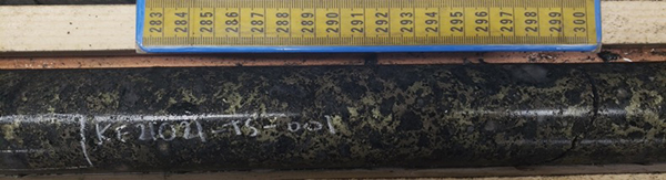 Plate 2. Net texture chalcopyrite-pyrite-pyrrhotite-sphalerite mineralization observed in hole KF21021